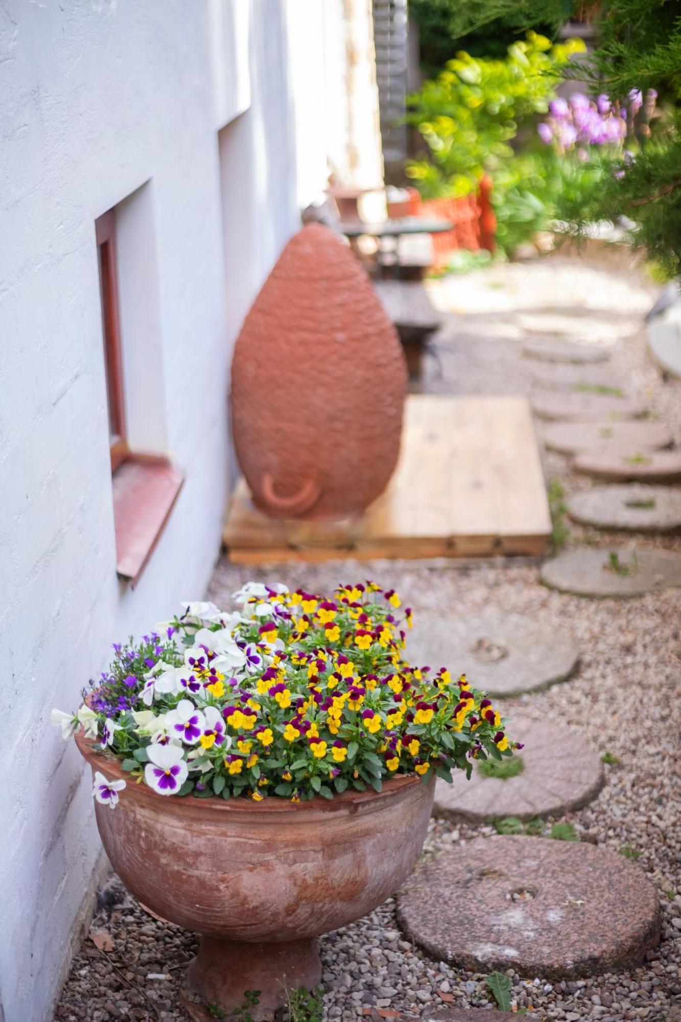 House Of Sun Bed and Breakfast VNO Exteriör bild